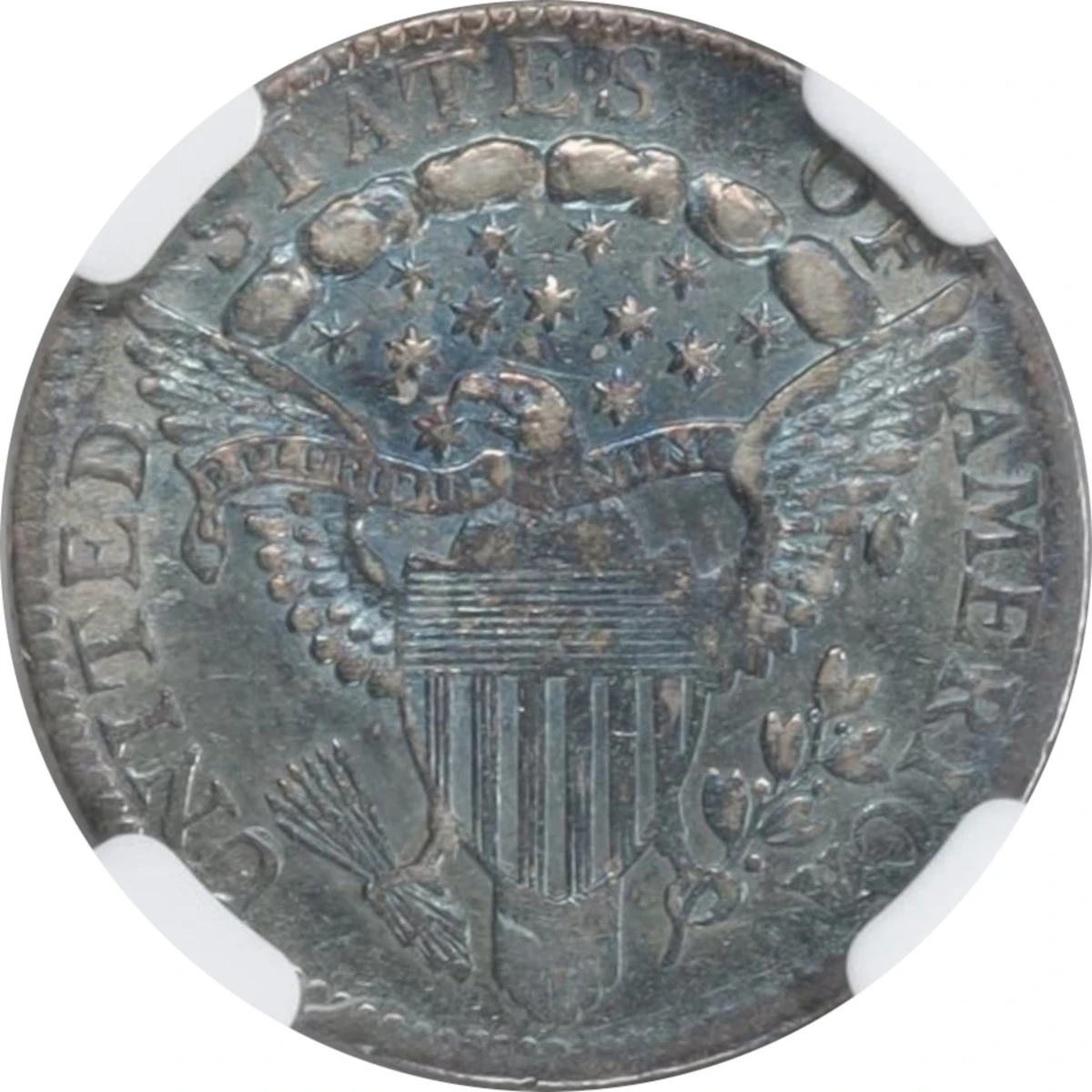1803-Draped-Bust-Dime-You-Vs-NGC-Not-My-Coin